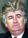 https://upload.wikimedia.org/wikipedia/commons/thumb/6/6d/Evstafiev-Radovan_Karadzic_3MAR94.jpg/100px-Evstafiev-Radovan_Karadzic_3MAR94.jpg